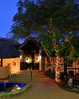 zulu nyala